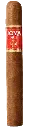joya-red-toro-removebg-preview.webp