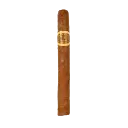 1000233066-removebg-preview.webp