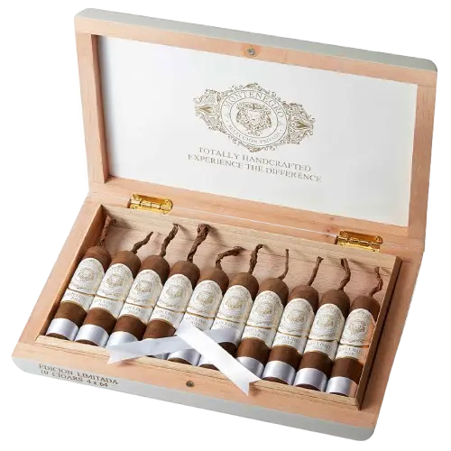 Montenegro bomba